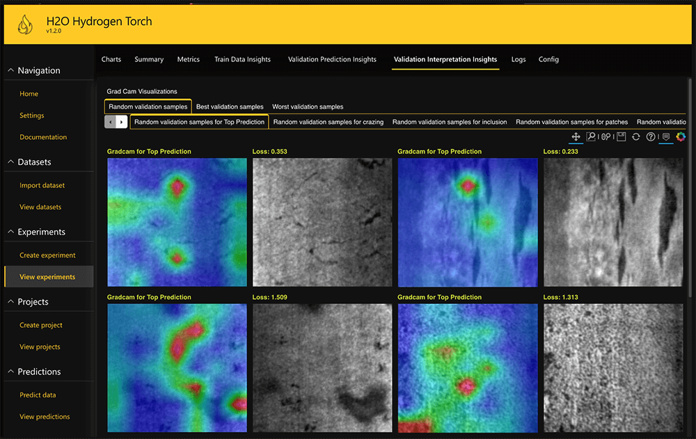 Snapshot of Hydrogen Torch Model Scoring and Interpretation