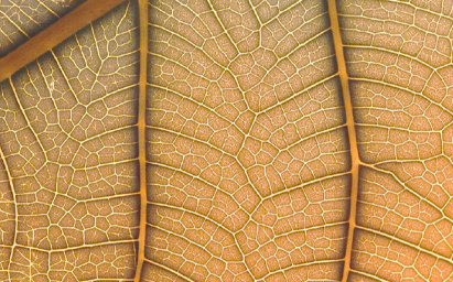 AT&T and H2O.ai Celebrate Commercial Milestone for AI Feature Store, Deepen Work in Vertical AI Super Agents