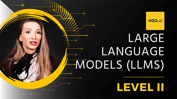 Large Language Models (LLMs) - Level 2