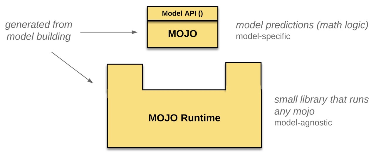 mojo-anatomy mojo-anatomy