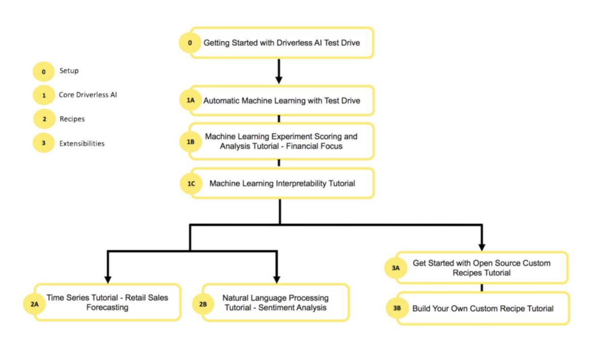 H2O learning paths