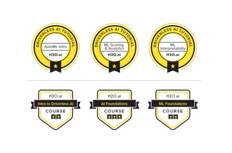 H2O training badges