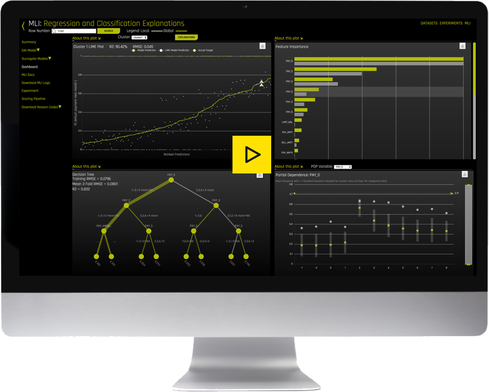 MLI_H2O_Driverless_AI