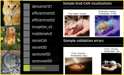 auto-image-processing