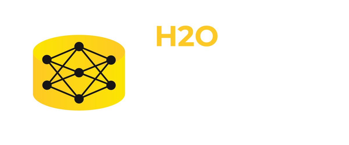 H2O Feature Store logo