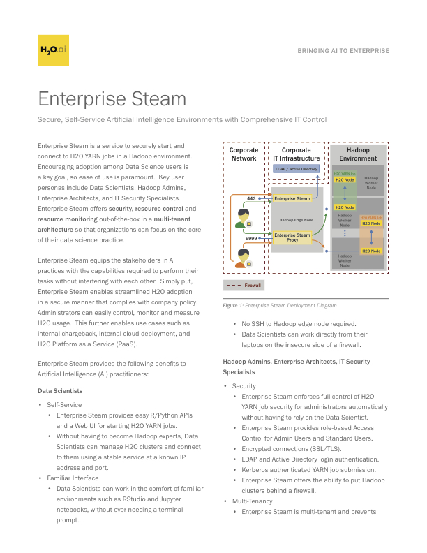 Enterprise Steam DS