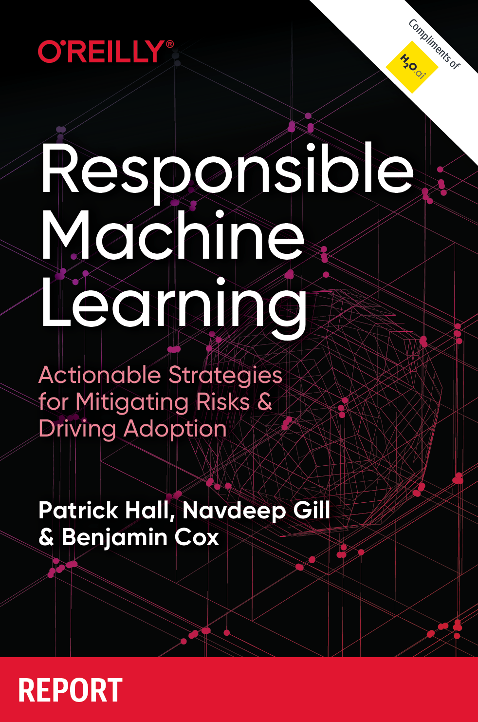 Responsible Machine Learning Report Screen Shot