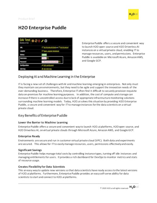 H2O Enterprise Puddle product brief