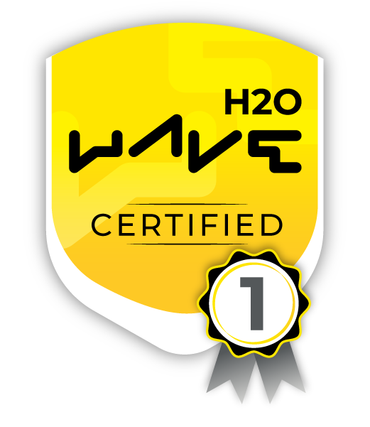 H2O Wave Badge - Level 1 H2O.ai Certificate